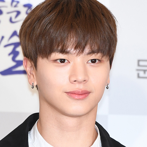 ユク・ソンジェ(ユン・ガプ/カンチョリ役)